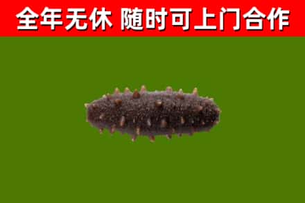 福田区烟酒回收干海参.jpg